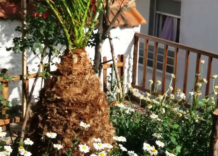 Сasa de vacaciones Traditional House Paschalis